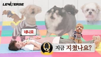 第 4 集