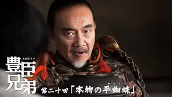 真正的平蜘蛛