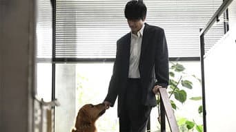 腐败
