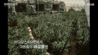 第 6 集