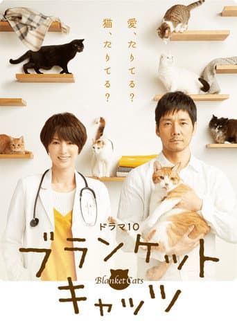 毛毯猫