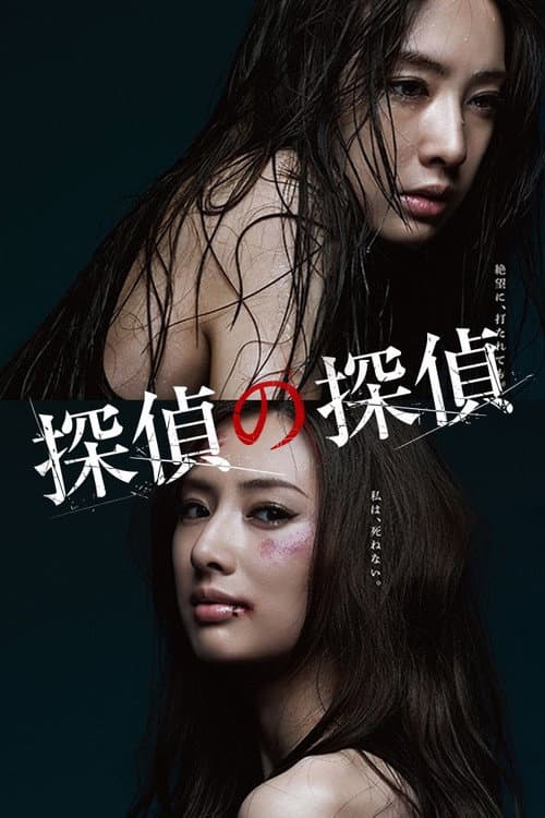 侦探的侦探