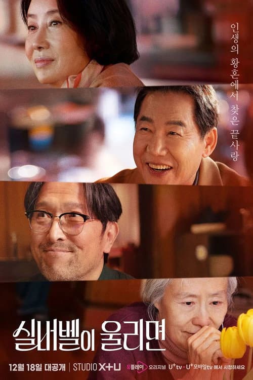当银铃响起