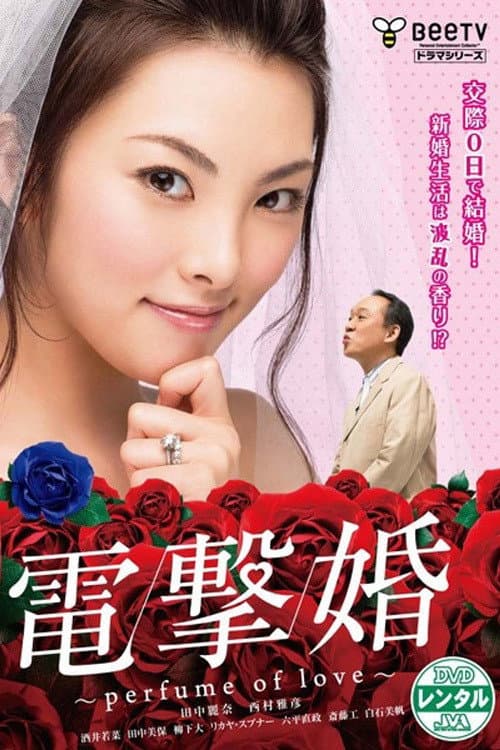电击婚