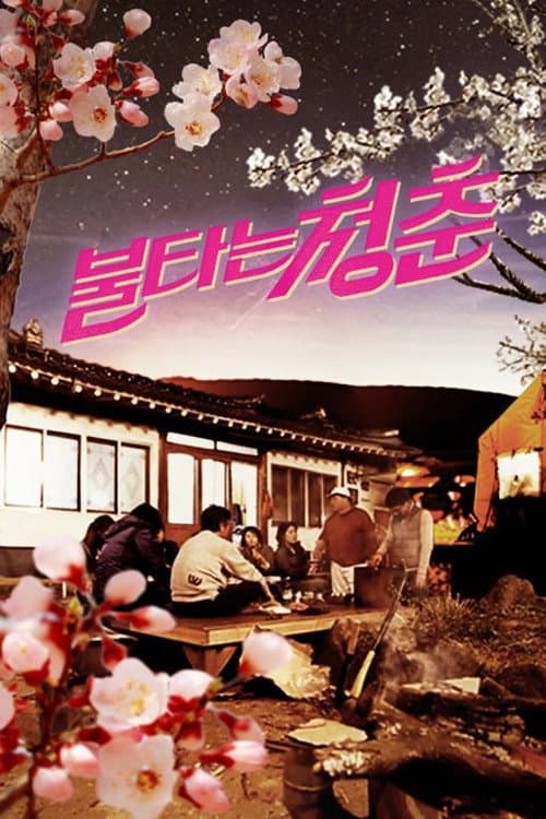 第 2 季