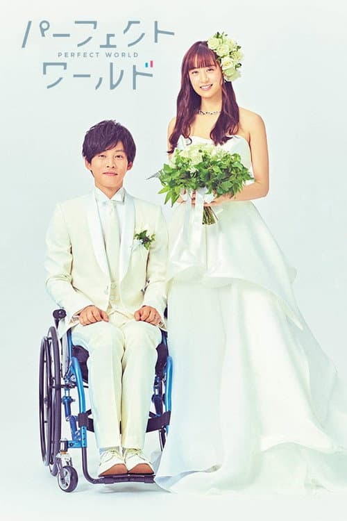 完美的世界