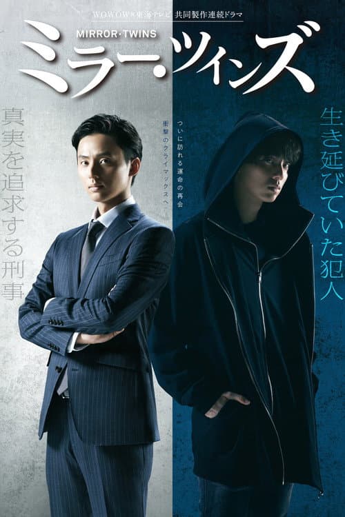 镜像双胞胎