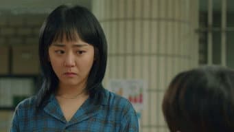 回家见家人