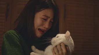 第 8 集