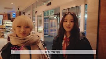 第 15 集