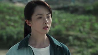 杨晓蕾掩护淦天雷