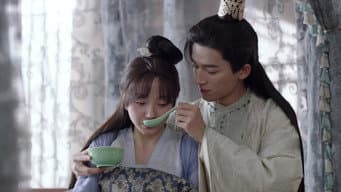 睿王绑架林池