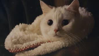 第 1 集